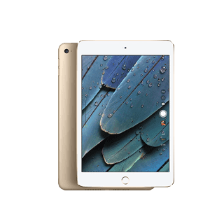 苹果(Apple) ipad Mini 4（WIFI版）平板租赁 7.9英寸 64GB